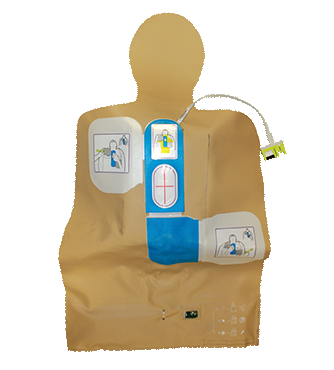 PLUS_travel_trainer_HR